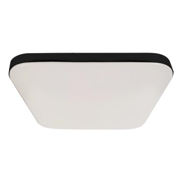 LED Плафон за баня със сензор NEMO LED/16W/230V IP44 черен