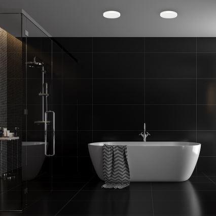 LED Плафон за баня VERA LED/24W/230V 4000K IP65 бял