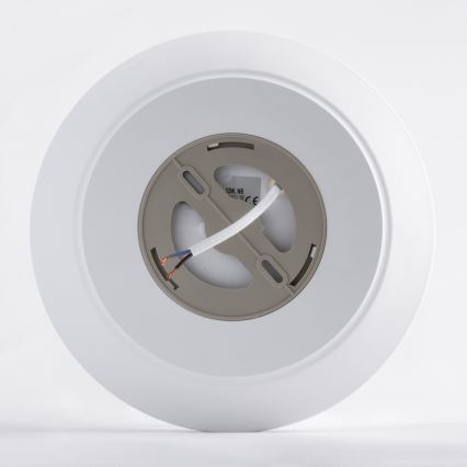 LED Плафониера AVESTA LED/12W/230V 4000K IP54
