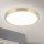 LED Плафониера BULLY LED/28W/230V Ø 28 см златист