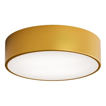 LED Плафониера CLEO LED/24W/230V 3000K Ø 30 см златист