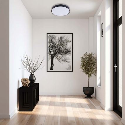 LED Плафониера FELIZ LED/30W/230V 4000K Ø 30 см черен