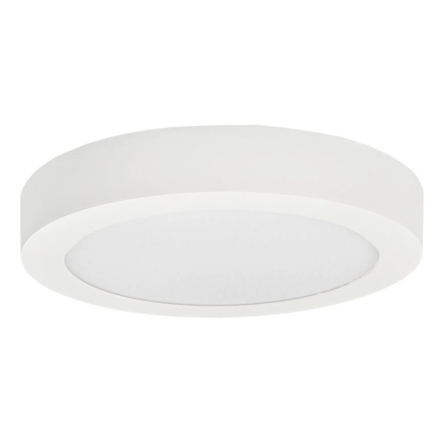 LED Плафониера FENIX LED/12W/230V 3800K Ø 17 см снежнобял