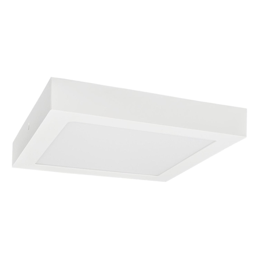 LED Плафониера FENIX LED/24W/230V 3800K 29,8 см снежнобял