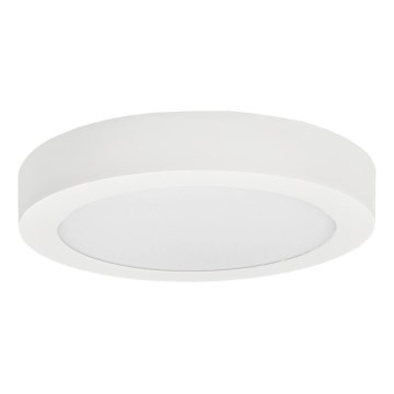 LED Плафониера FENIX LED/24W/230V 3800K Ø 29,8 см снежнобял