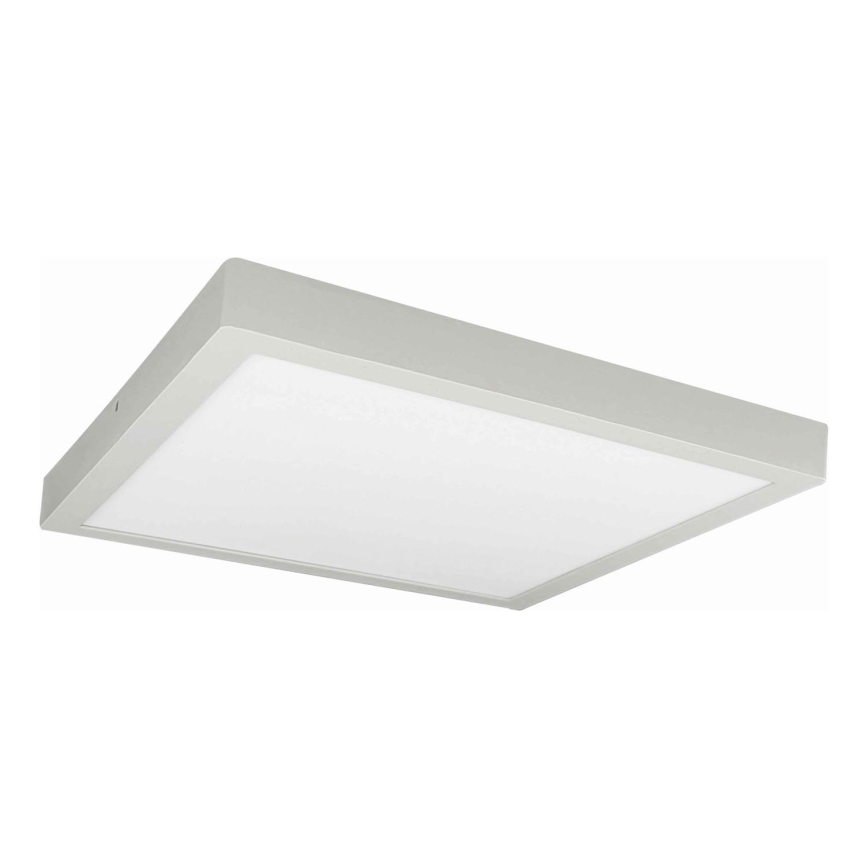 LED Плафониера FENIX LED/32W/230V 3800K 40 см бял