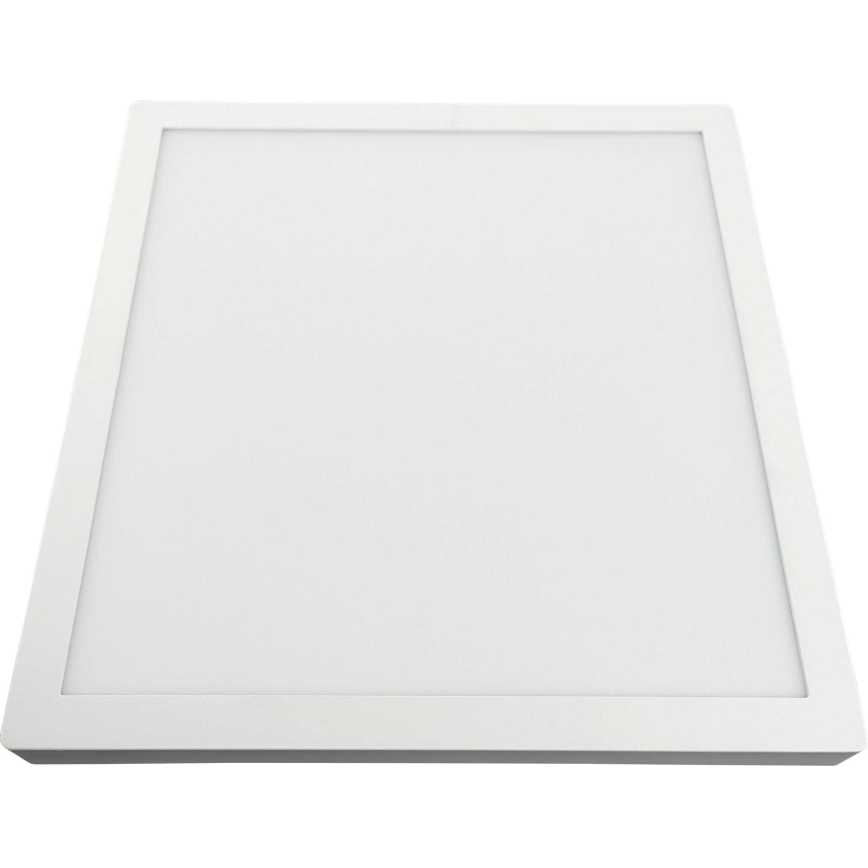 LED Плафониера FENIX LED/32W/230V 3800K 40 см снежнобял