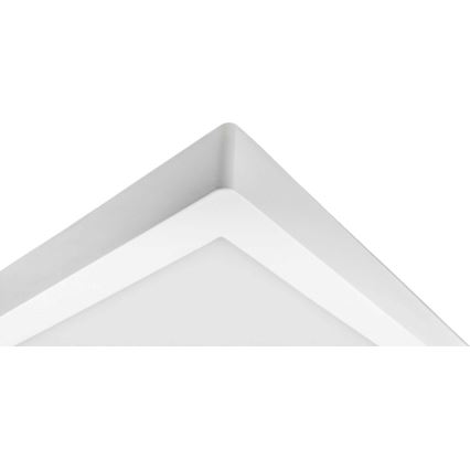 LED Плафониера FENIX LED/32W/230V 3800K 40 см снежнобял