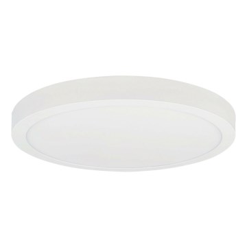 LED Плафониера FENIX LED/32W/230V 3800K Ø 40 см снежнобял