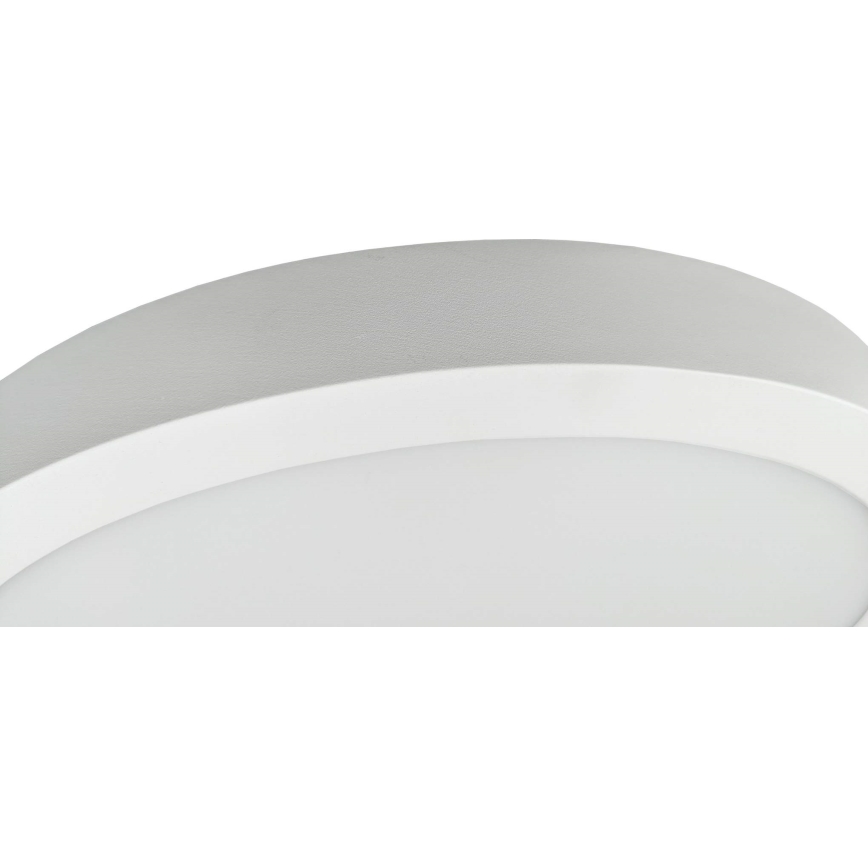 LED Плафониера FENIX LED/32W/230V 3800K Ø 40 см снежнобял