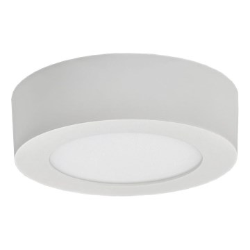 LED Плафониера FENIX LED/6W/230V 2800K Ø 12 см