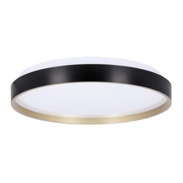 LED Плафониера FLORIDA LED/18W/230V черен