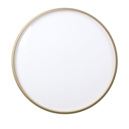 LED Плафониера FLORIDA LED/18W/230V черен