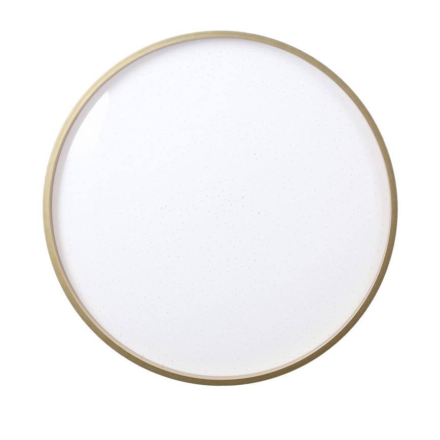 LED Плафониера FLORIDA LED/18W/230V черен