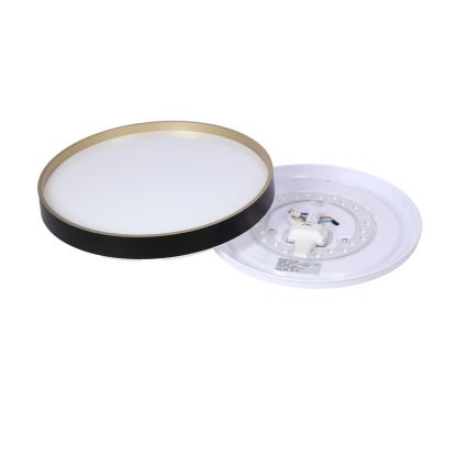 LED Плафониера FLORIDA LED/18W/230V черен