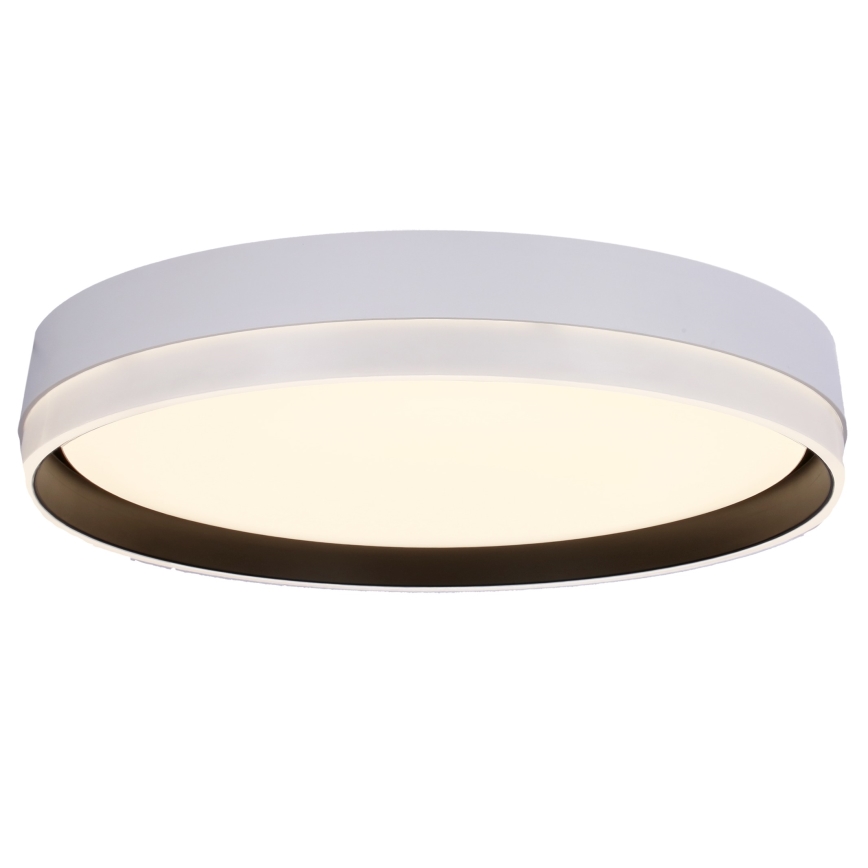 LED Плафониера FLORIDA LED/24W/230V бял