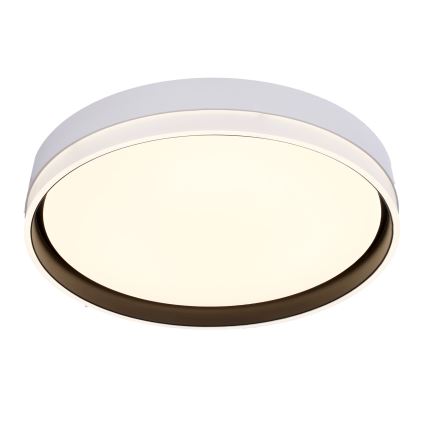 LED Плафониера FLORIDA LED/24W/230V бял