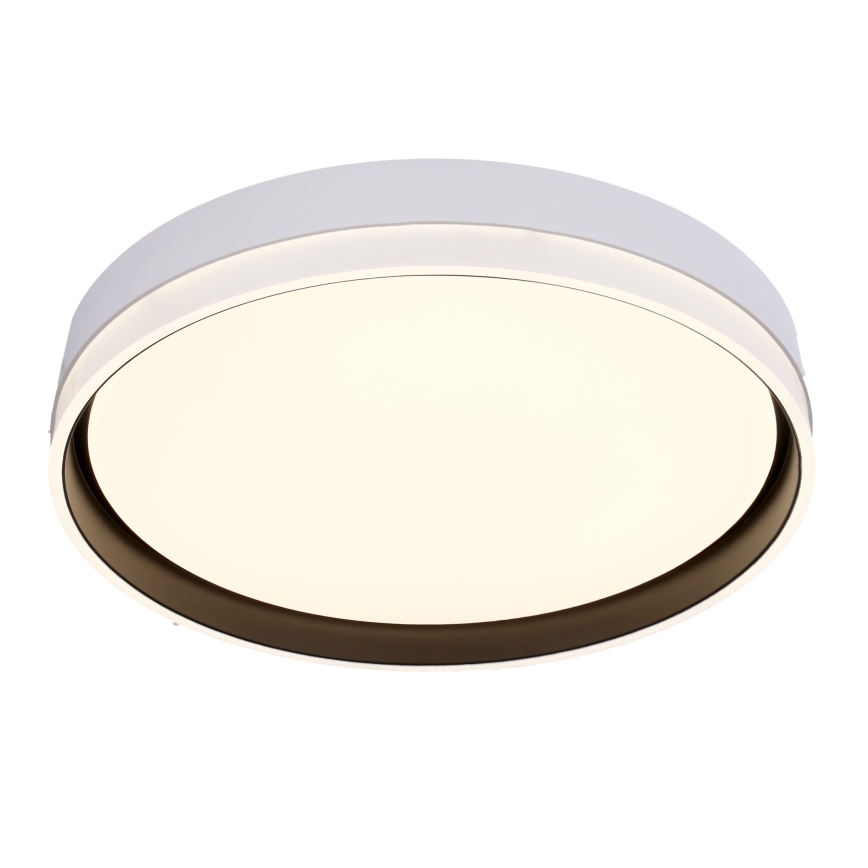LED Плафониера FLORIDA LED/24W/230V бял