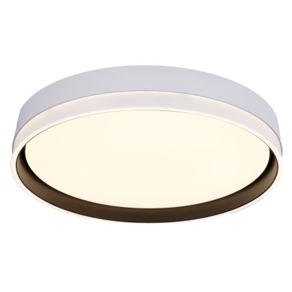 LED Плафониера FLORIDA LED/24W/230V бял