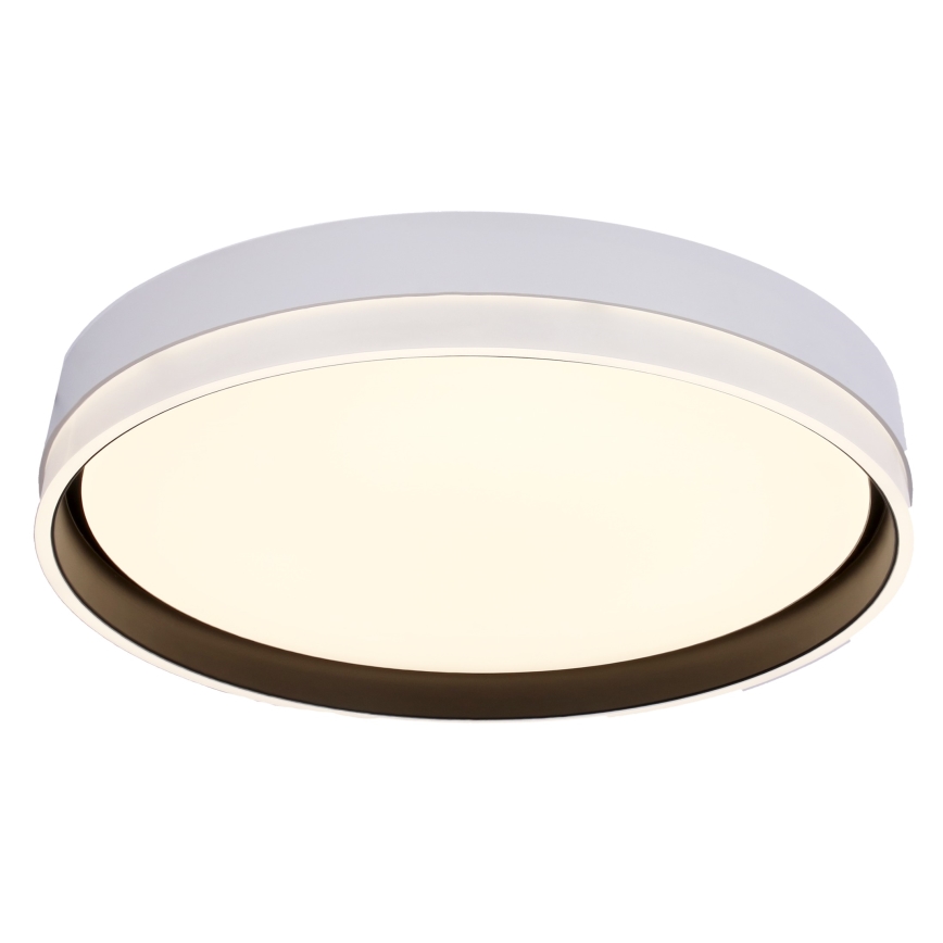 LED Плафониера FLORIDA LED/24W/230V бял