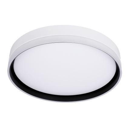 LED Плафониера FLORIDA LED/24W/230V бял