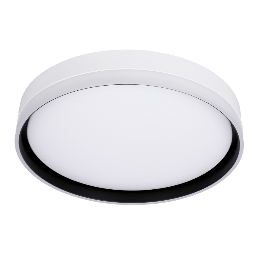 LED Плафониера FLORIDA LED/24W/230V бял