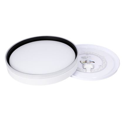 LED Плафониера FLORIDA LED/24W/230V бял