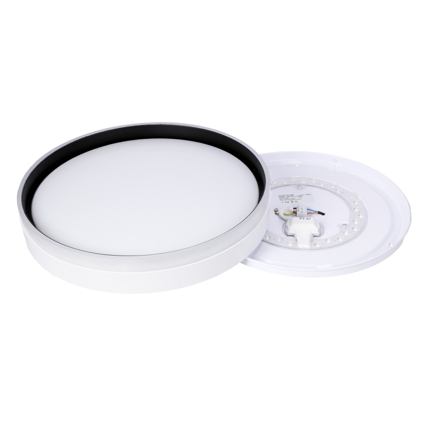 LED Плафониера FLORIDA LED/24W/230V бял