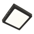 LED Плафониера GERRY LED/12W/230V 4000K черен