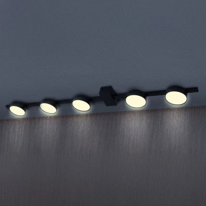 LED Плафониера JOY 5xGX53/6W/230V черен