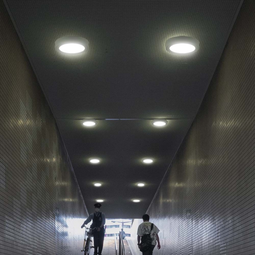 LED Плафониера LED/12W/230V 3000K Ø 16,7 см бял