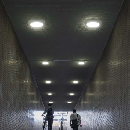 LED Плафониера LED/12W/230V 6500K Ø 16,7 см бял