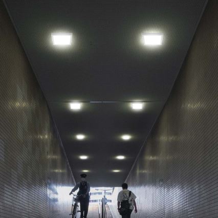 LED Плафониера LED/18W/230V 6500K 21,4x21,4 см бял