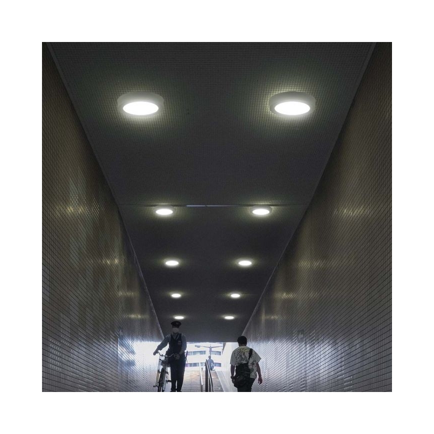 LED Плафониера LED/24W/230V 4000K