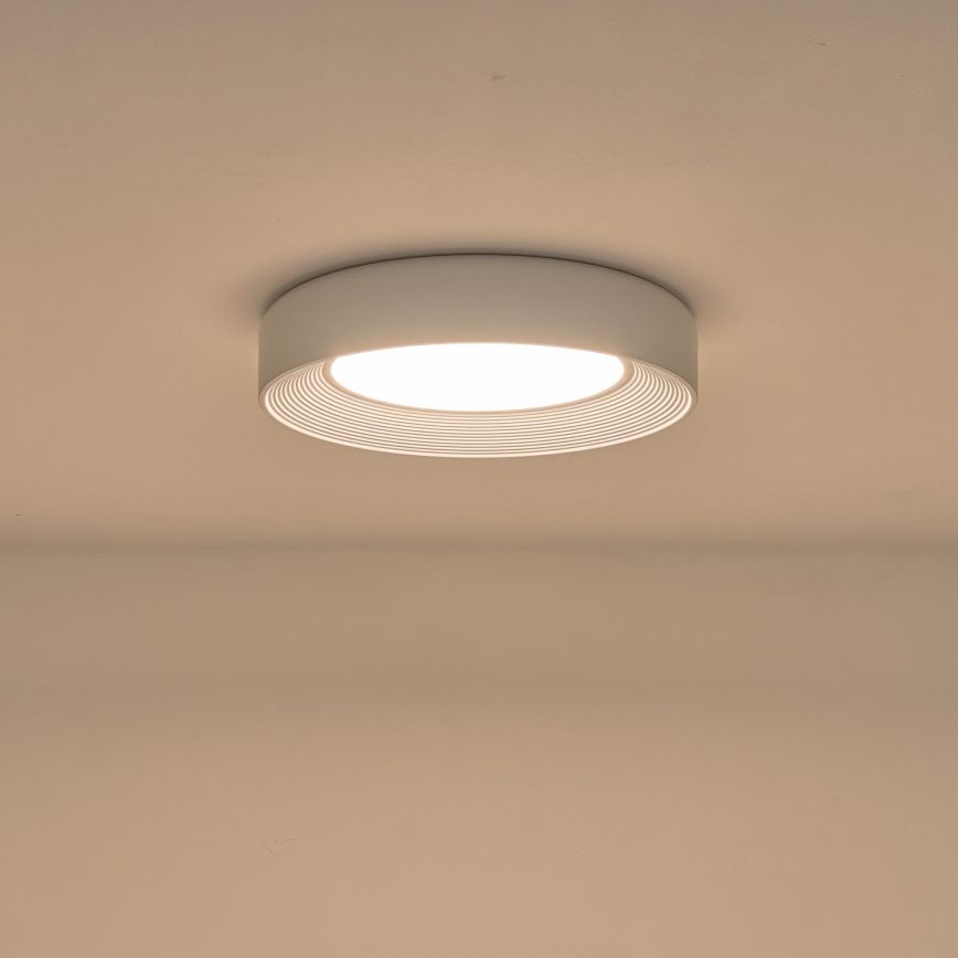 LED Плафониера LED/40W/230V 3000K бял Ø 50 см