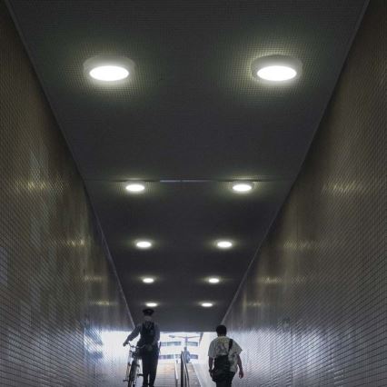 LED Плафониера LED/6W/230V 6500K бял