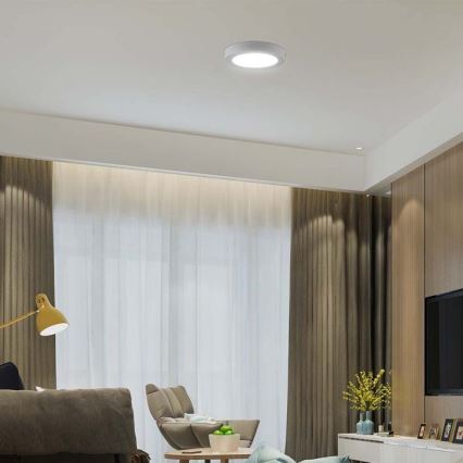 LED Плафониера LED/6W/230V 6500K бял