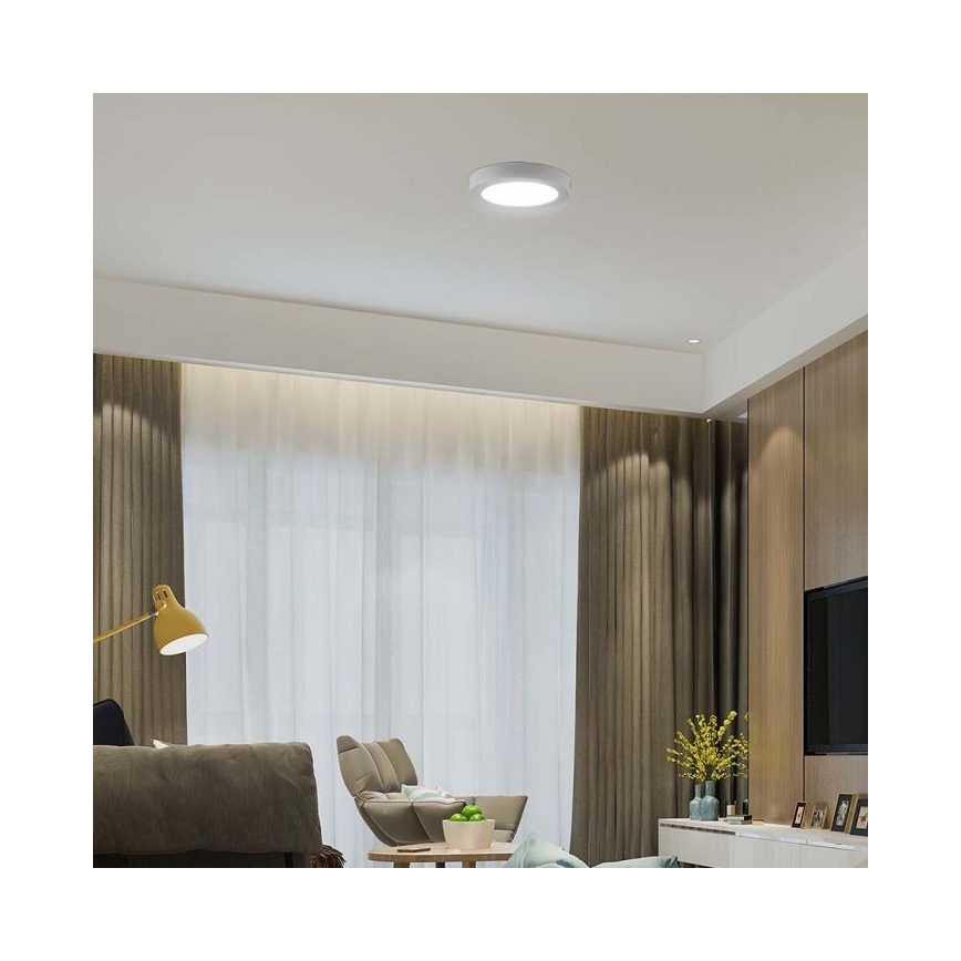 LED Плафониера LED/6W/230V 6500K бял