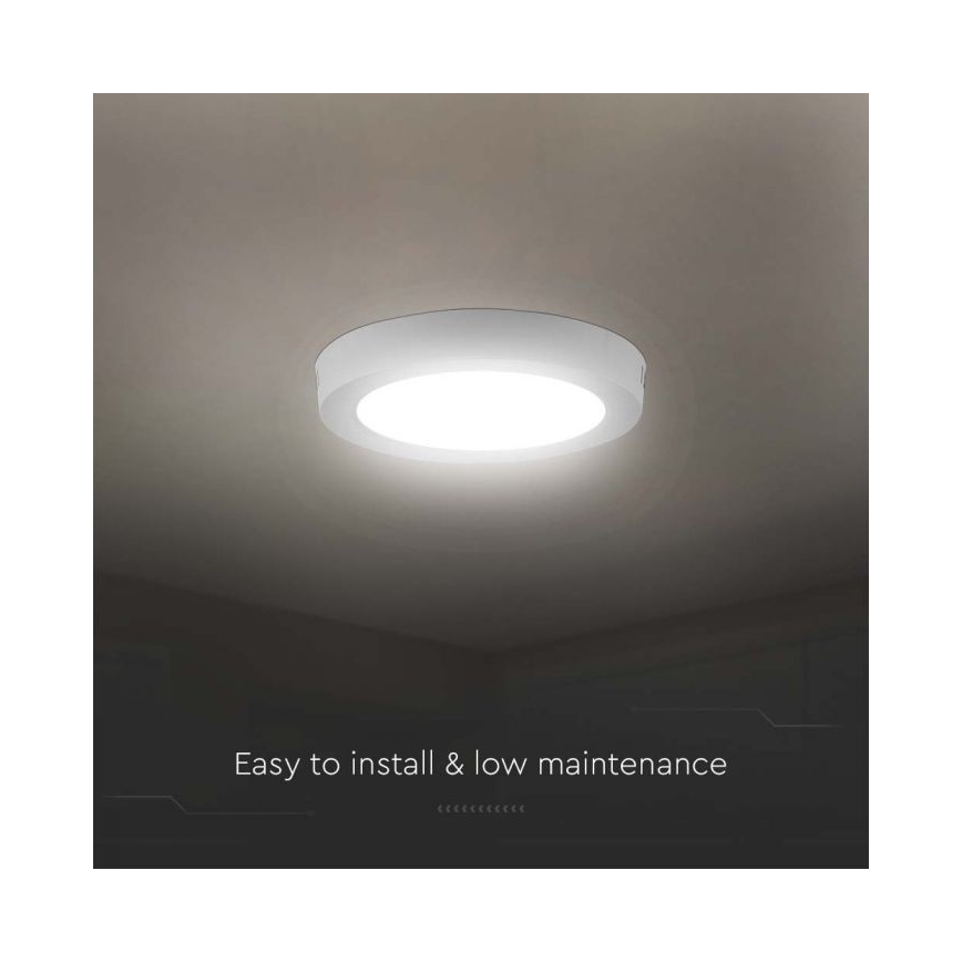LED Плафониера LED/6W/230V 6500K бял