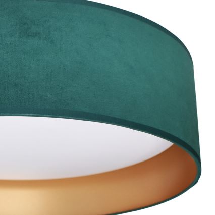 LED Плафониера RONDO LED/18W/230V зелен