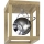 LED Плафониера ROY 1xGU10/5W/230V матов дъб