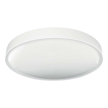 LED Плафониера SAMER LED/40W/230V 4000K