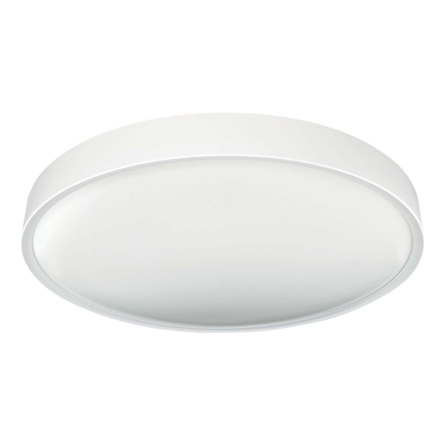 LED Плафониера SAMER LED/40W/230V 4000K