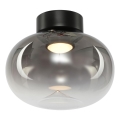 LED Плафониера VASO LED/4W/230V Ø 18 см черен/опушен