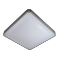 LED Плафониера WILTON LED/24W/230V 37,5x37,5 см сив
