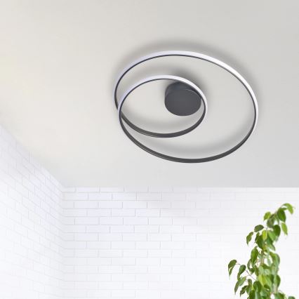 LED Плафониера ZEFIRA LED/40W/230V 4000K Ø 50 см антрацит