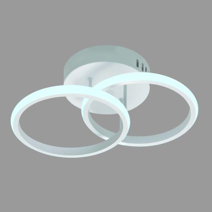 LED Полилей BARI LED/20W/230V бял