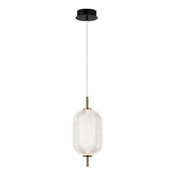 LED полилей на стоманено въже PELLUCID LED/11W/230V златист/прозрачен