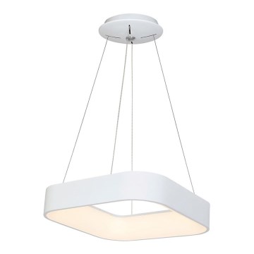 LED Полилей на верижка ASTRO 1xLED/24W/230V