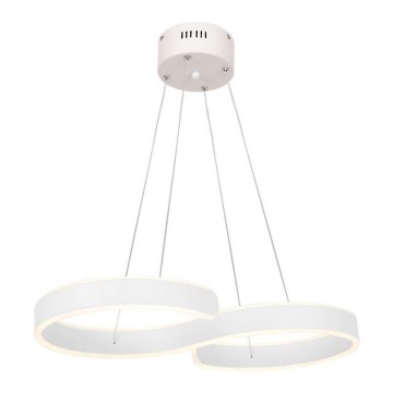 LED Полилей на верижка INFINITY LED/50W/230V